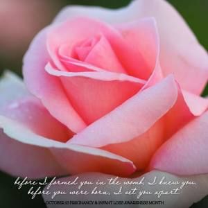 Meet your Posher, Jenny